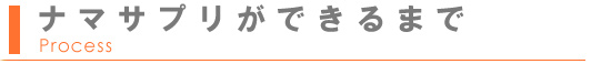 ナマサプリができるまで