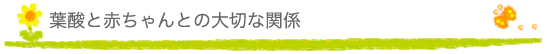 葉酸と赤ちゃんの大切な関係