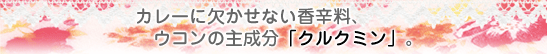 ウコンの成分クルクミンとは