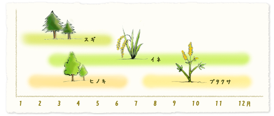 花粉シーズン早見表